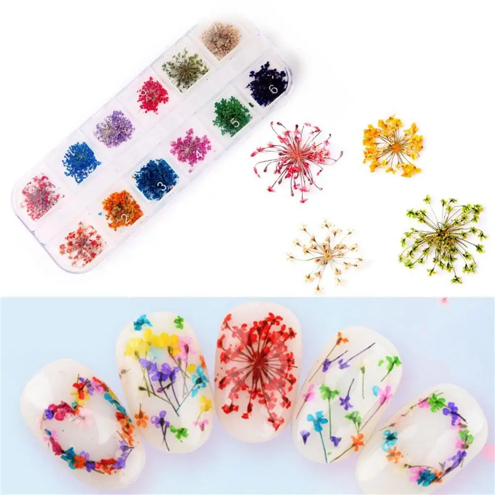 Flower Nail Art Decoration Real Mini Dried Blossom Stickers Natural Floral Charms Designs Manicure Nails Accessories