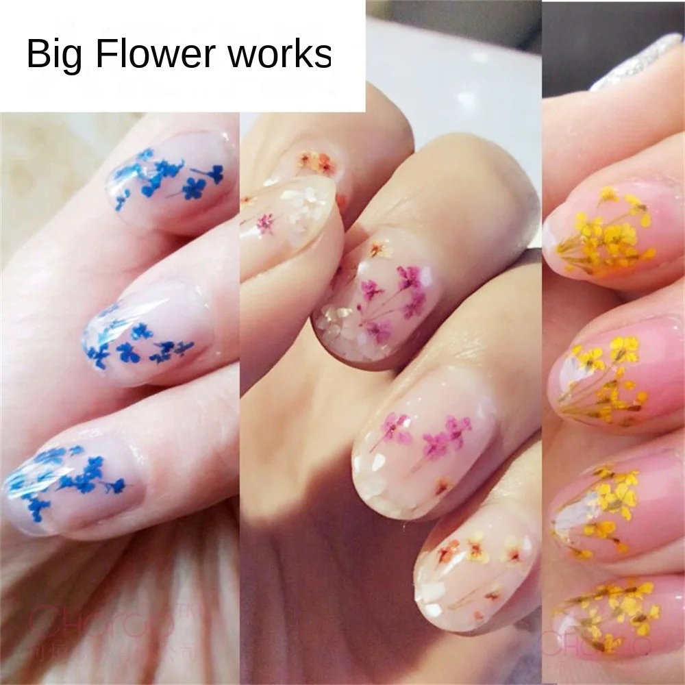 Flower Nail Art Decoration Real Mini Dried Blossom Stickers Natural Floral Charms Designs Manicure Nails Accessories